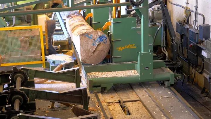 Stamm auf der Sägeanlage des Ohnemus Laubholzsägewerks